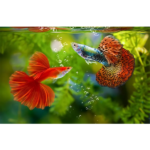 GUPPY DIVERSOS